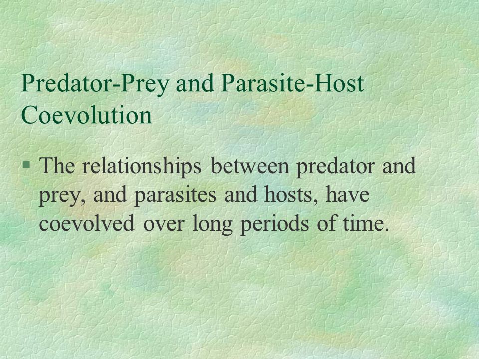 A discussion of the relationship between predator and prey